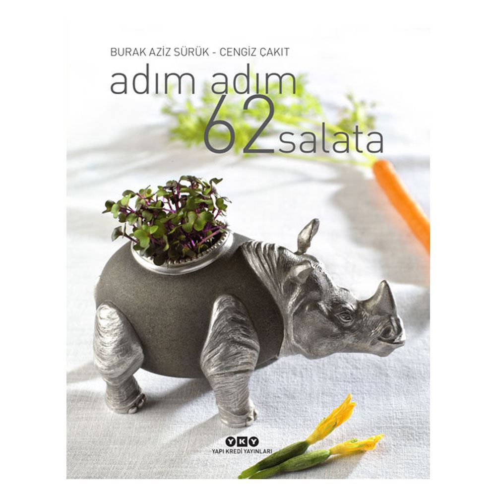 Adım Adım 62 Salata Yemek / Tarif Kitabı Divan Pastaneleri